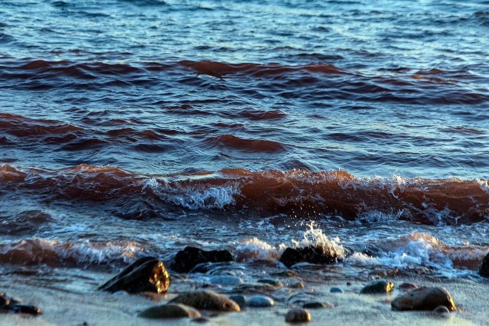 Cover image for: US intelligence sees no early easing of Iran’s Strait of Hormuz grip