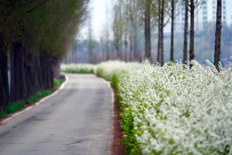 Cover image for: Tether Hires KPMG as Auditor as It Prepares Push Into US Market