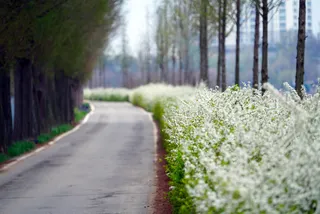 Cover image for: Tether Hires KPMG as Auditor as It Prepares Push Into US Market