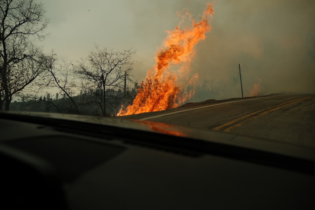 Cover image for: Fires Rage in Southern Georgia as Drought Deepens Strain
