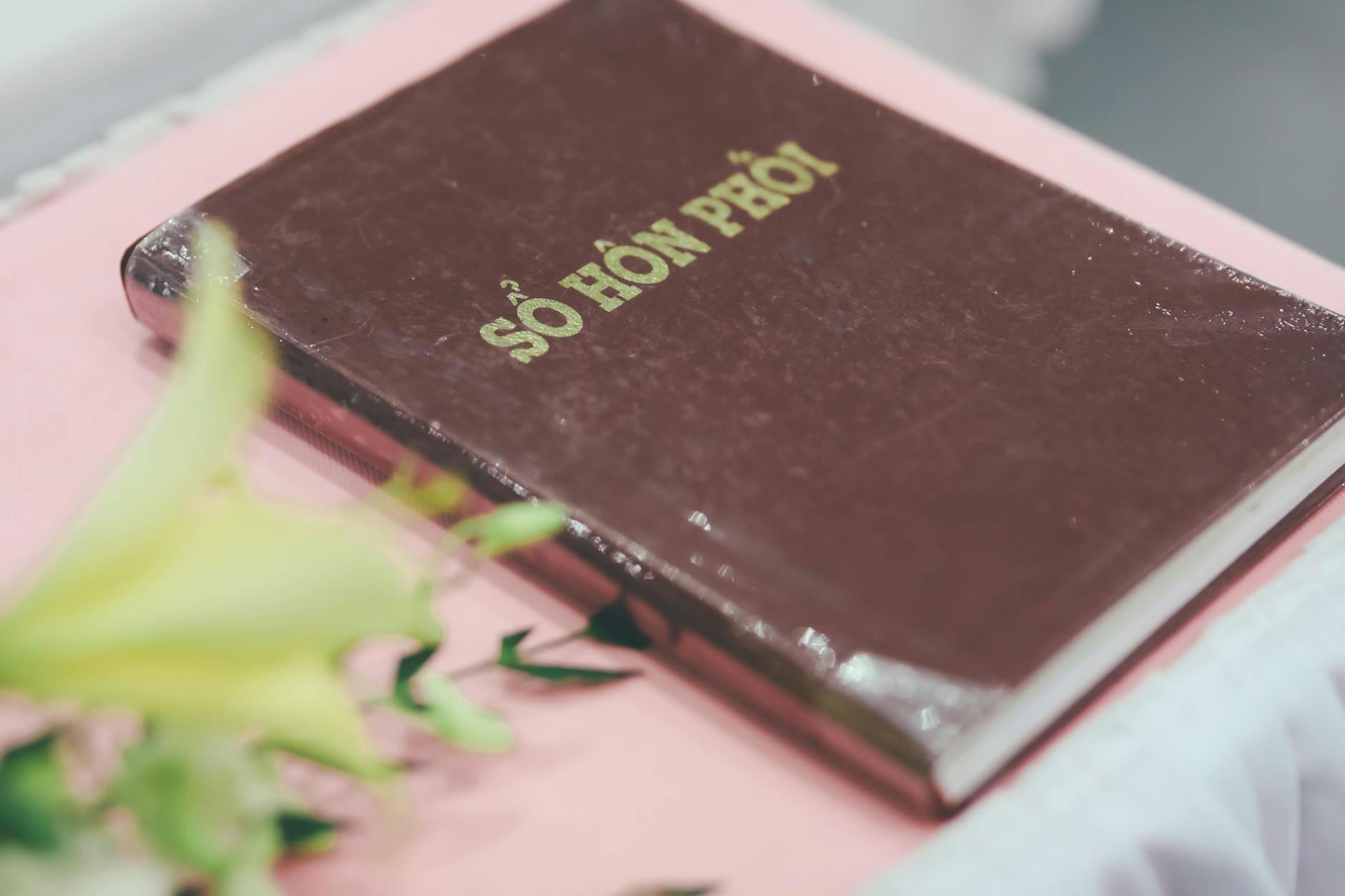 Cover image for: IOC to Limit Women’s Olympic Events to ‘Biological Females’