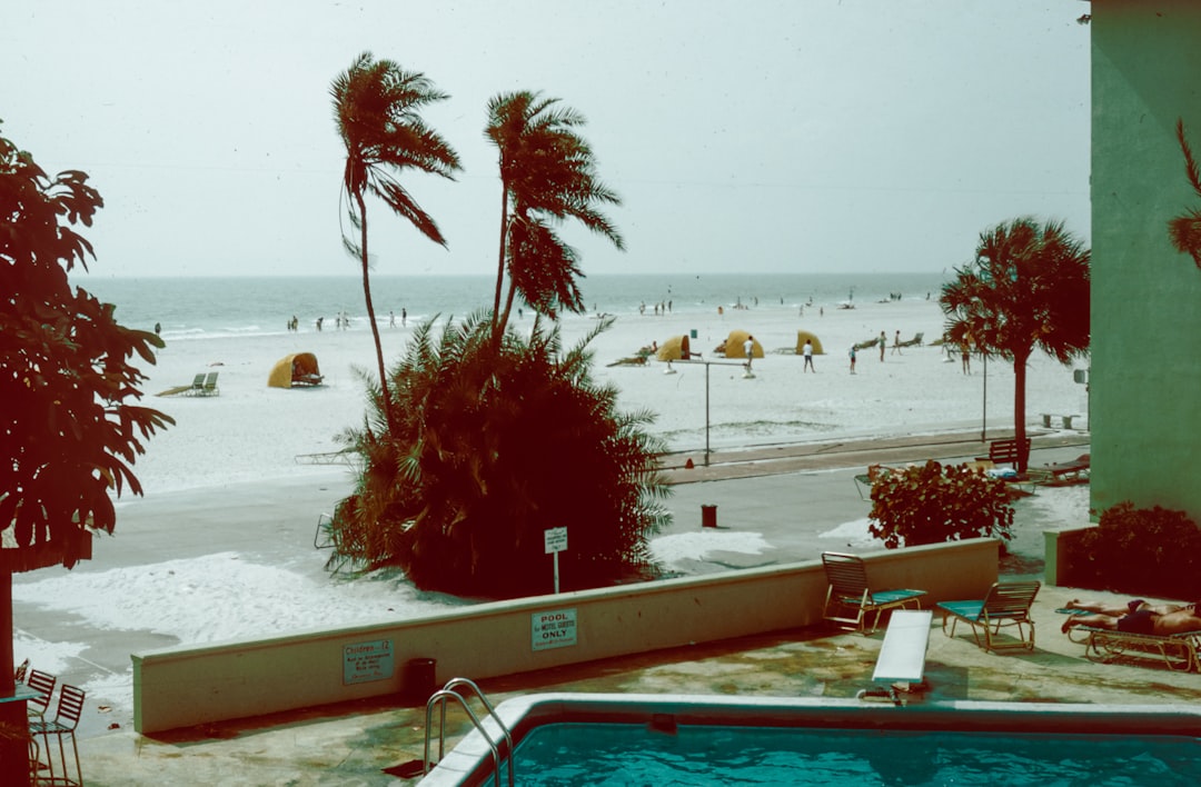 Cover image for: Inside Judi Dench’s Garden: Statues, Memorial Trees and a Pool