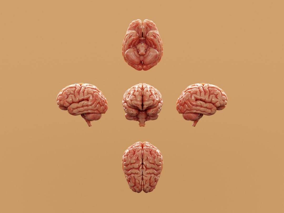 Cover image for: Snap Judgments in the Brain Offer Clues to How We Read Ambiguous Moments